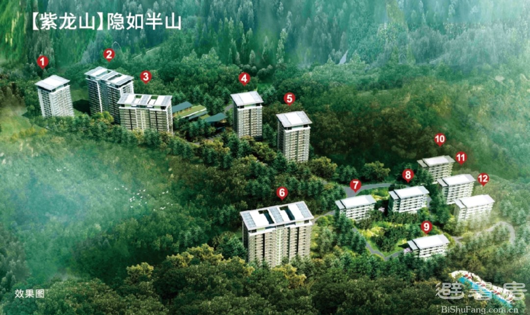 原野时讯 | 太平洋人寿保险公司同兴山政府共同调研昭君原野